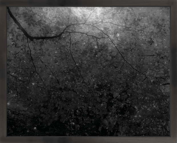 Nicholas Hughes, The Sound of Space Breathing (III) #13, 2021