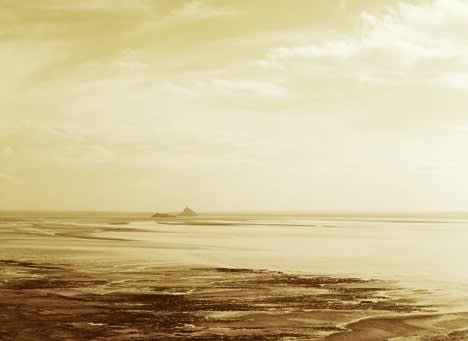 Esser's work often convey a meditative and reflective quality, inviting viewers to contemplate the beauty and transience of the natural...