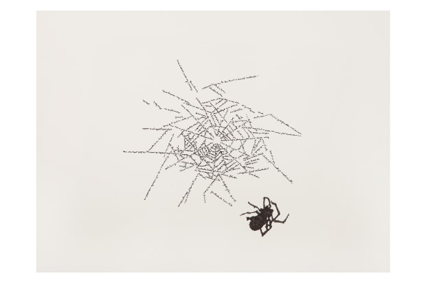 Johanna Calle’s exploration of drawing and her innovative techniques are at the heart of her formal practice. Her method of...