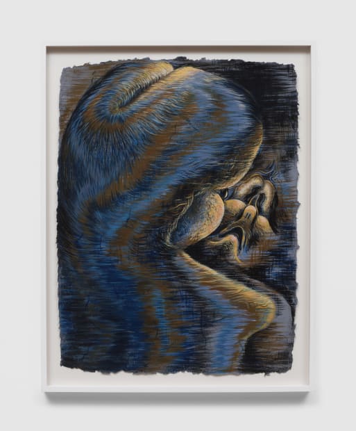 A few of these works began with a desire to articulate a somatic feeling so loud and persistent that painting...