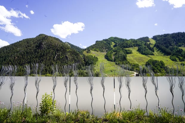 MAREN HASSINGER, Garden, 2020