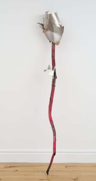 David Alexander Flinn, Every Thorn Has Its Rose, 2018