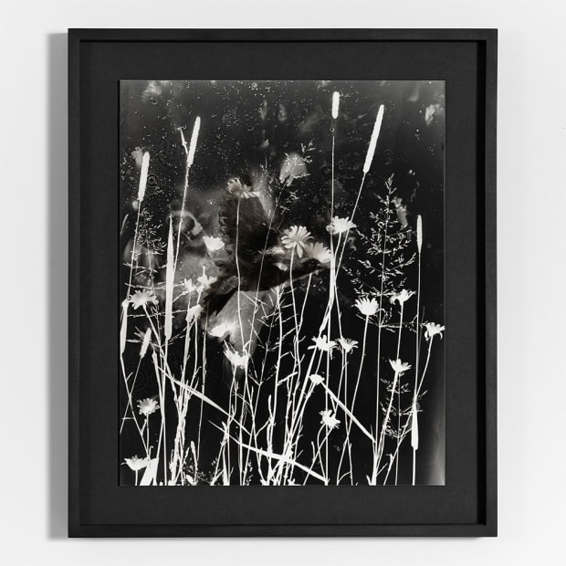 Spazuk Bernardi, Summer Field, 2022