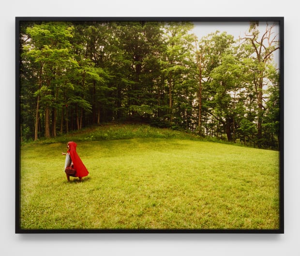 The natural world figures strongly in many of the works on view. Xaviera Simmons' Thundersnow Road (2010)and If We Believe...