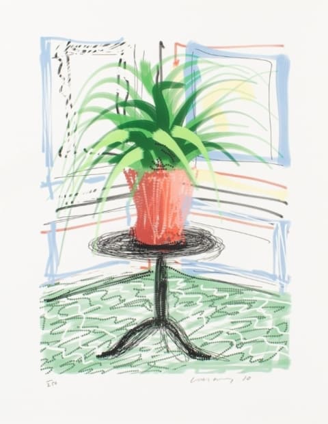 Hockney Untitled 468