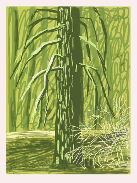 Hockney Yosemite Suite No.18