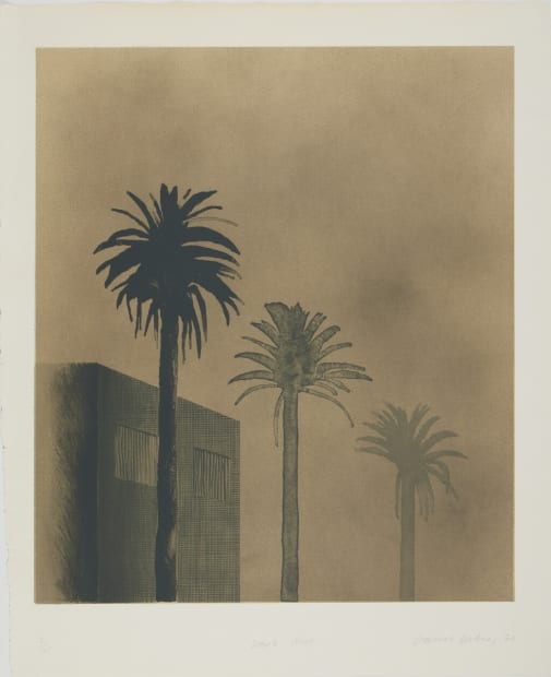 David Hockney Dark Mist