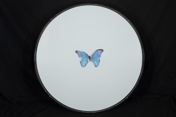 'In his original paintings, Hirst continues to use butterflies as integral parts of his larger works. Frozen in the canvas...