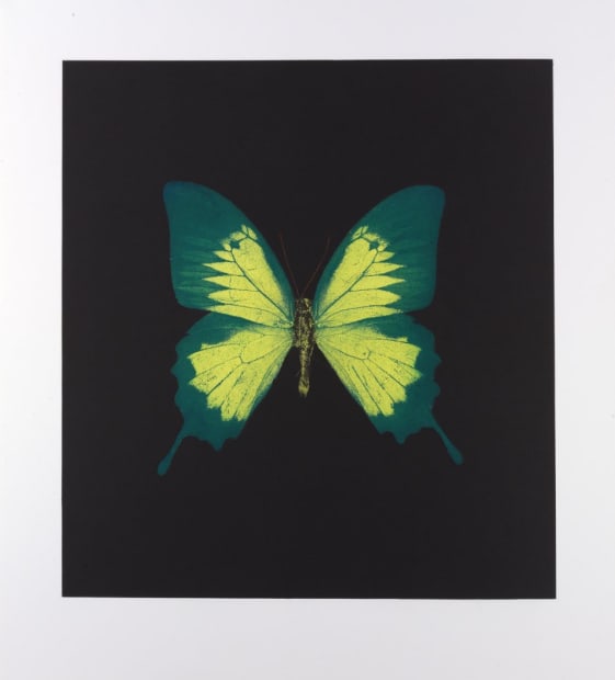 Damien Hirst
