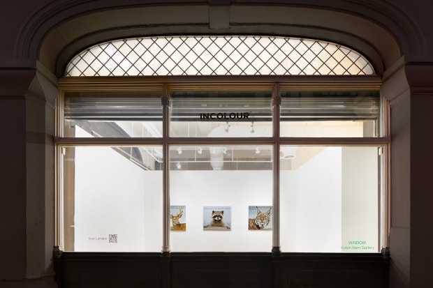 Sean Landers, WINDOW, 91 Walker Street New York, NY (corner of Walker and Lafayette Street)