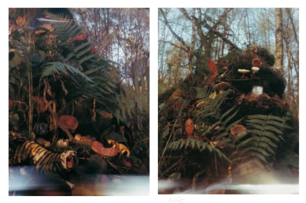 KIM SOUN-GUI, FOREST1, FOREST2, 1998 - 1999
