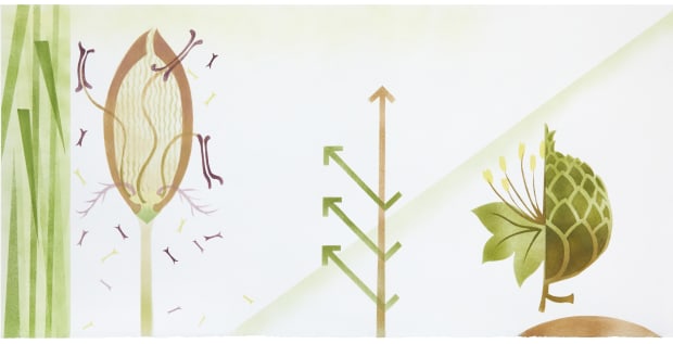 Arnott Hamilton Fund, Purchase prize of pictures or drawings by an Academician in the RSA Annual Exhibition.