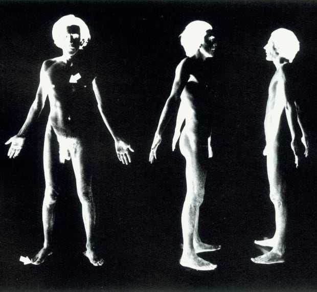 Microscope Photographs At every location of World Series, the Boyles collected specimens from the surrounding plant and animal life, including...