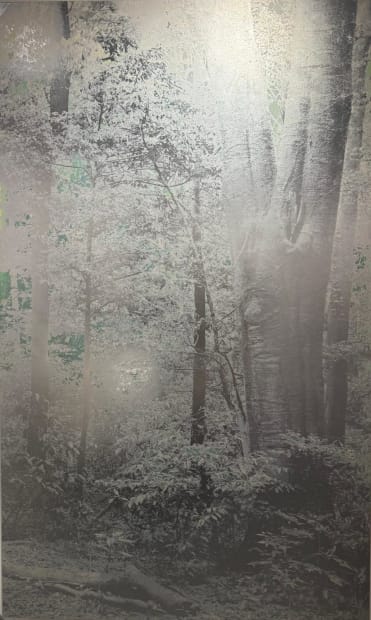 Masayoshi Nojo mirage encounter, a set of trees painted in moonlight.