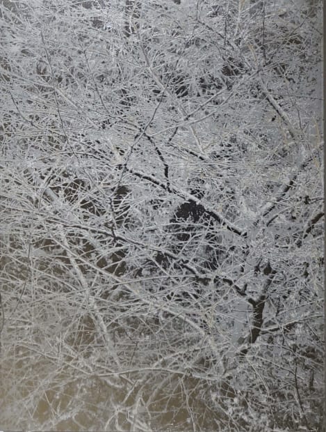 MASAYOSHI NOJO (B. 1989, JAPAN)