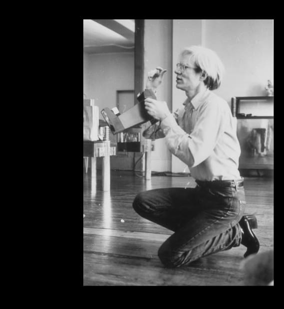 For various reasons, Warhol photographed a motley crew of pop culture icons (including himself) alongside minor celebrities, fashion designers, directors,...