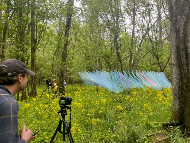 ' After a decade of working in wide open spaces—coastal prairies, beaches, deserts, etc.—a residency at Serenbe was a chance...