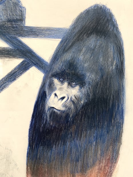 Abstract drawing of an obscured gorilla
