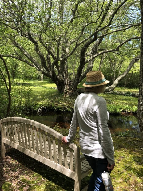 “Forests are the great subject of my career—the spectrum of colors that is created as light from different times of...