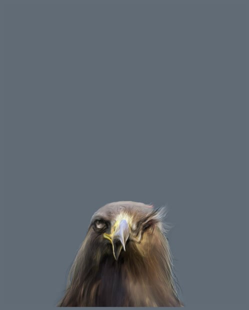 MOONIS AHMAD SHAH The Birds are Coming , 2017 UV Print and light box 21 x 17 in. AP ₹...