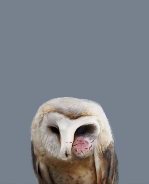 MOONIS AHMAD SHAH The Birds are Coming , 2017 UV Print and light box 21 x 17 in. AP ₹...