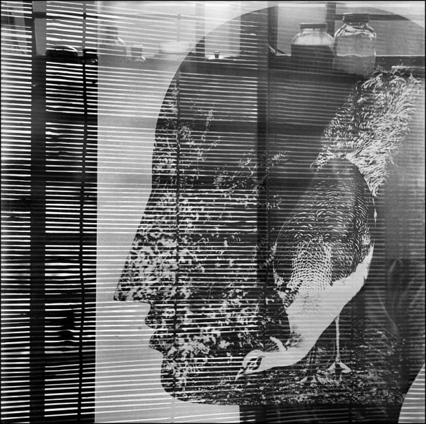 Untitled, 2018 Digital Reincarnation, 2019 Limited Edition Individual Print : 15 x 22 inches (30 editions) , ₹25,000 Avaialable in...