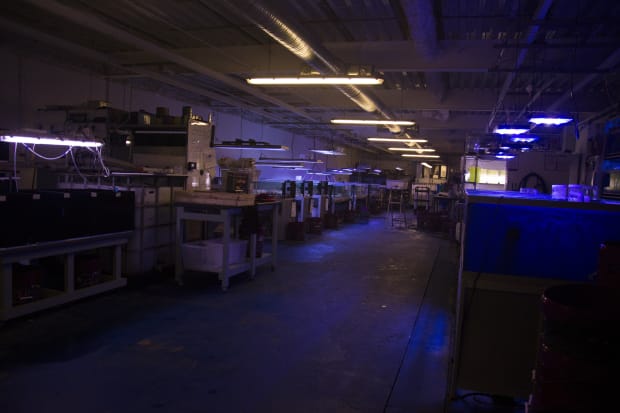 SARASIJA SUBRAMANIAN Sea Monsters / Bred in Captivity / Something's Missing, 2020 Archival prints on archival Epson paper 24 x...