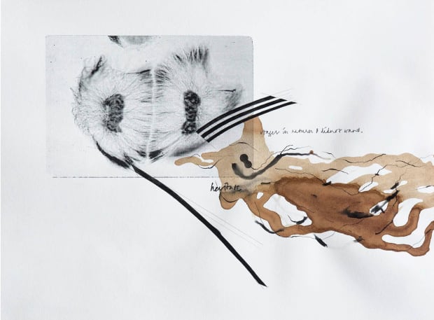 Arshad Hakim works around the idea of 'dislodged subjectivities', which he understands as the processes and experiences through which subjective...