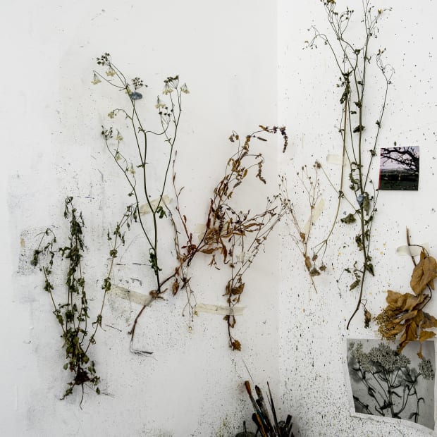 RECENT PRESS, IRISH ARTS REVIEW