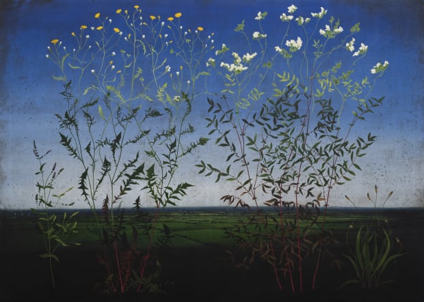 MICHAEL CANNING