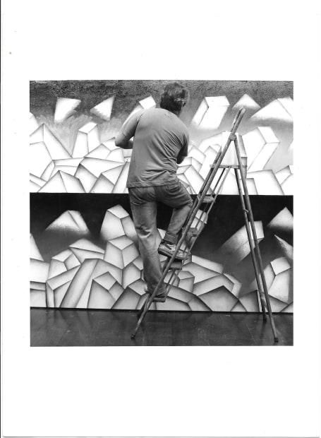 Antonio Henrique Amaral is a singular voice in Brazilian and Latin American art of the second half of the 20th...