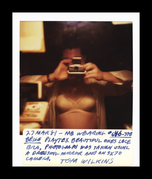 Tom Wilkins, American (1951 - 2007)