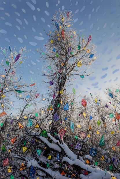 Yossi Milo's Holiday Gift Room