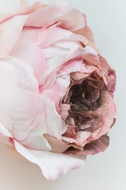 This rose is taken out of the painting by Rachel Ruysch titled 'Still Life with Flowers on a Marble Tabletop',...