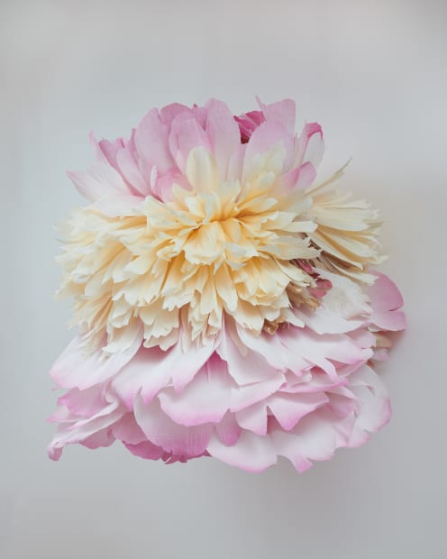 This piece was physically the hardest, but one of the most important. Turner has always made her work facing forward,...