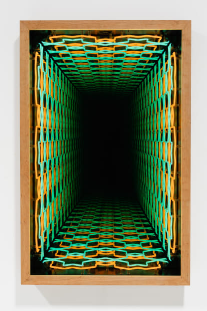 I V Á N N A V A R R O “Arabesque”, 2023 luz de neon, espelho, espelho unidirecional e...