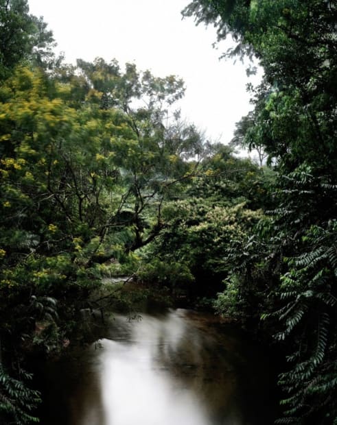 C A I O R E I S E W I T Z “Jacupiranga”, 2025 c-print em metacrilato c-print mounted...