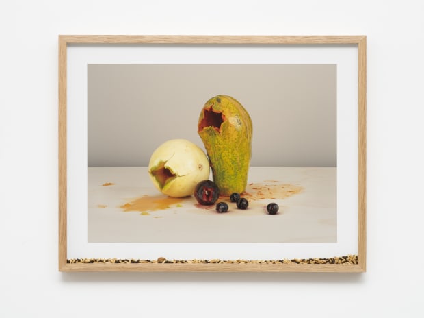 From the Muda [Mute] series, underway since 2014, seven new works are presented. In the process of making the work,...