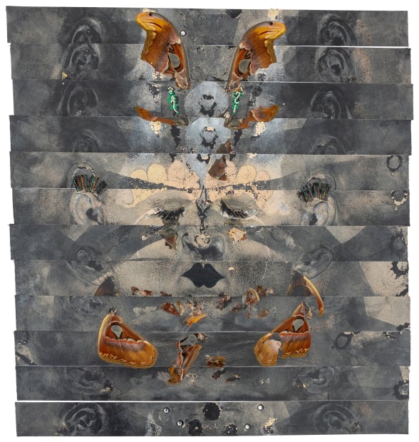 'There is a lot of discomfort and sometimes some pain in each of these self-portraits, but there is also a...