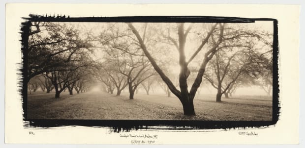 From the Vault Chris McCaw's early platinum prints depict his family's farm in California's Central Valley: 'It is my intention...