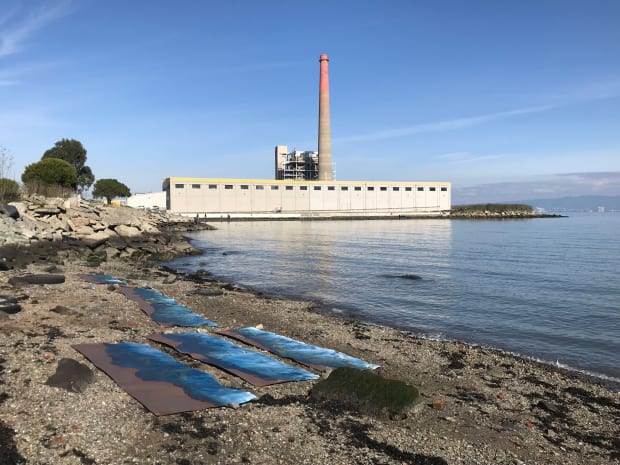 Studio Visit 'I started creating cyanotypes in the ocean, but my work has evolved to include all kinds of groundwater,...