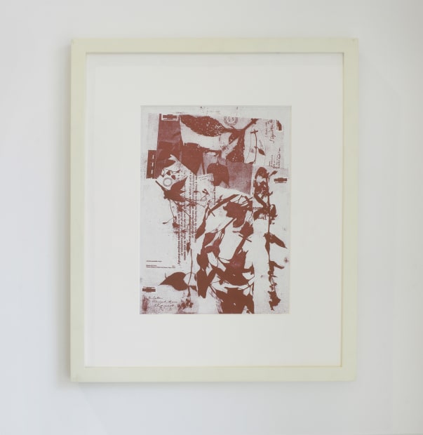 In Nishi Chodimella's prints, the Himalayan Balsam plant, considered an invasive species, is used to explore capitalise attitudes towards ecosystems....