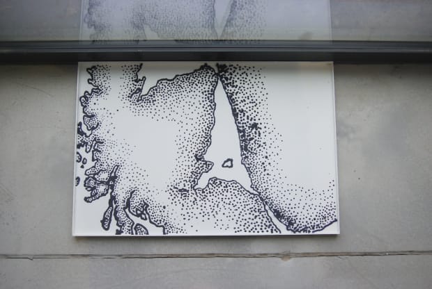 In Nishi Chodimella's prints, the Himalayan Balsam plant, considered an invasive species, is used to explore capitalise attitudes towards ecosystems....