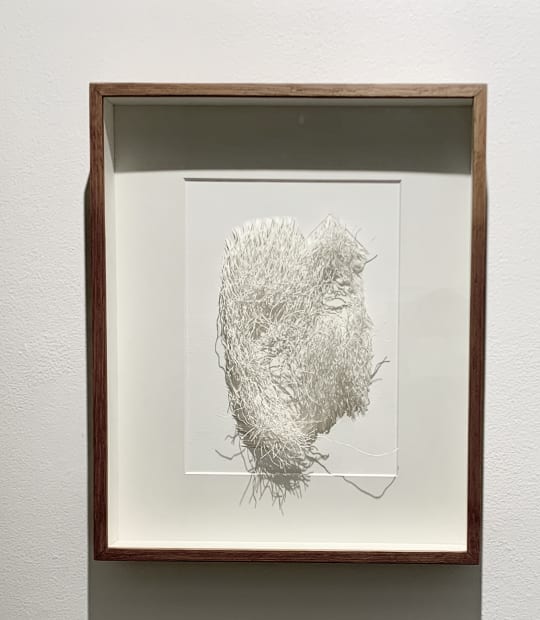 Harendra Kushwaha Deep dimension of life 8 12 x 8.5 Inches Graphite on acid free Paper, shear cut and hand...
