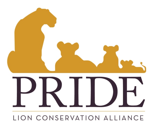 Pride Lion Conservation Alliance
