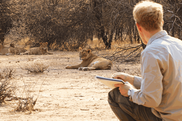 'Mark's work wonderfully captures the strength, resilience and charisma of Africa's Lions...His superb paintings and dynamic sketches are both a...