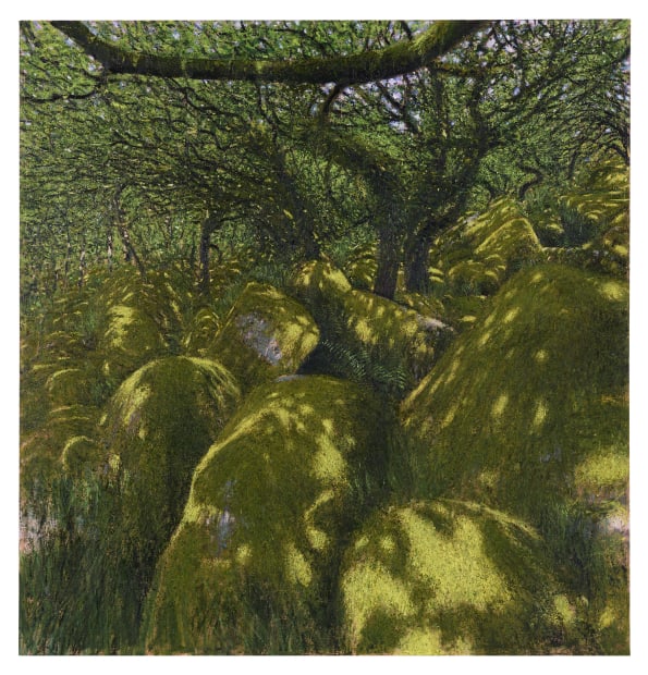 Coming soon In spring 2024, Andrew Gifford embarked on a long-standing project to paint the thin strip of Atlantic rainforest...