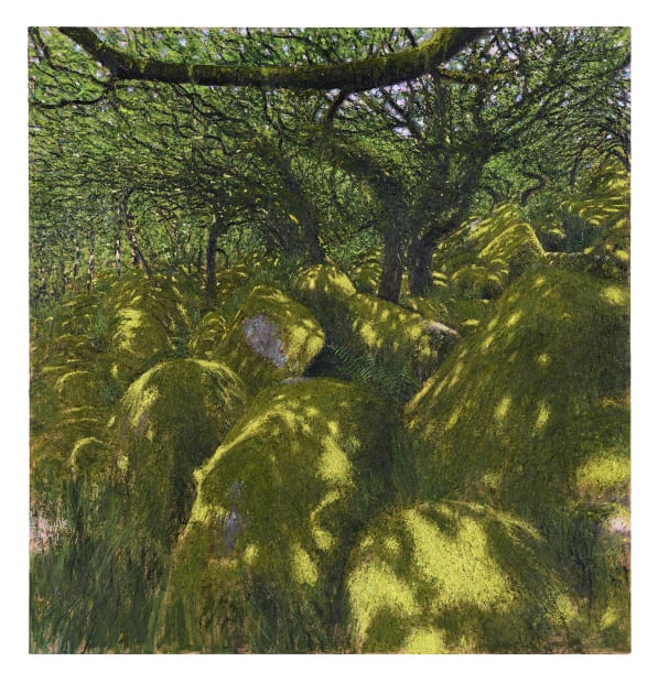 Moss Light is the culmination of a two year project spent tracing the remaining pockets of Atlantic rainforest that once...