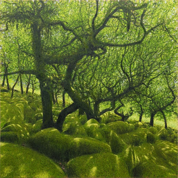 Moss Light is the culmination of a two year project spent tracing the remaining pockets of Atlantic rainforest that once...