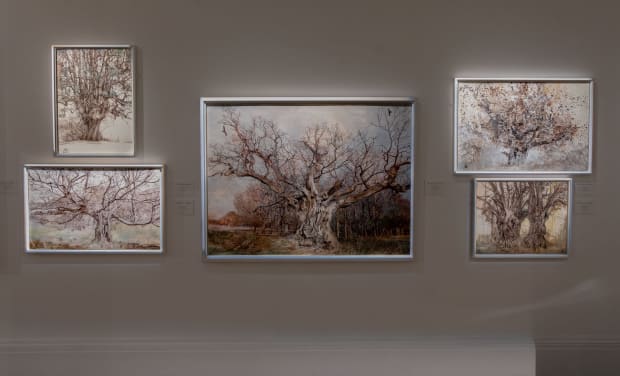 Canopy, 2022 The Queens Green Canopy, Sothebys London